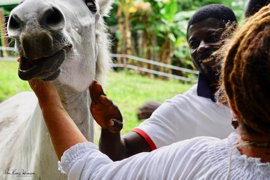 The Green Ranch Hotel Kumasi Bagian luar foto